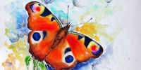 Aquarell-Augenblick-von-MilA-Daniela-Bracher-