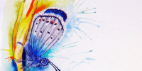 Aquarell-Morgenfreude-von-MilA-Daniela-Bracher-