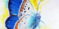 Aquarell-Sunny-von-MilA-Daniela-Bracher-