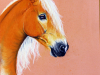 Pastell-Haflinger-von-MilA-Daniela-Bracher-